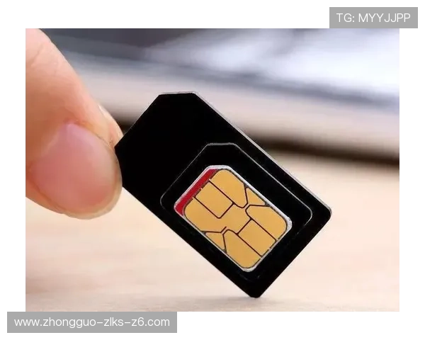 开云网址登录线路的安全隐私保护措施，让您的账户在安全中畅享访问体验