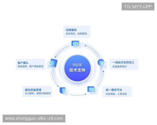 尊龙集团登录入口：登录遇到问题的解决方案与技术支持
